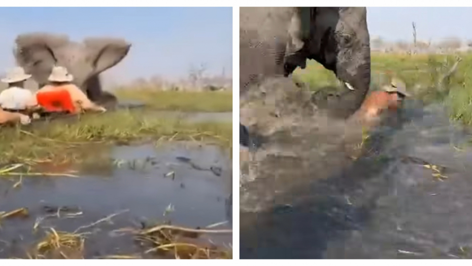 Facebook/Namushanawa Nyambe/ Conservation National Parks -CNP