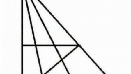 Dobro pogledajte sliku, pa pokušajte da pronađete sve trouglove koji se na njoj kriju