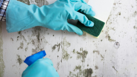 Koliko god da vodite računa o higijeni kuće, čistite i perete, neminovno je da se zidovi zaprljaju