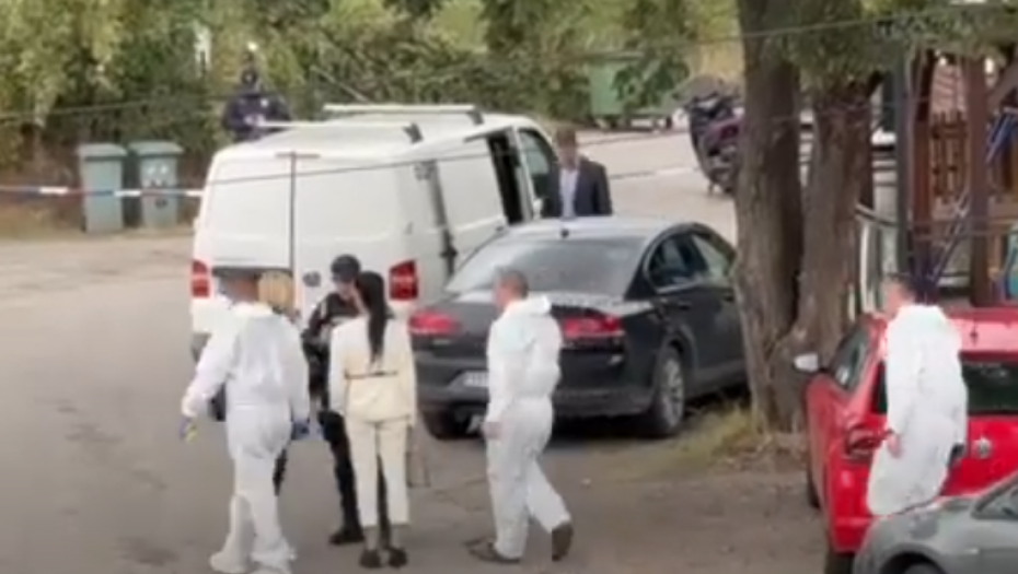 Ubistvo u Višnjičkoj banji