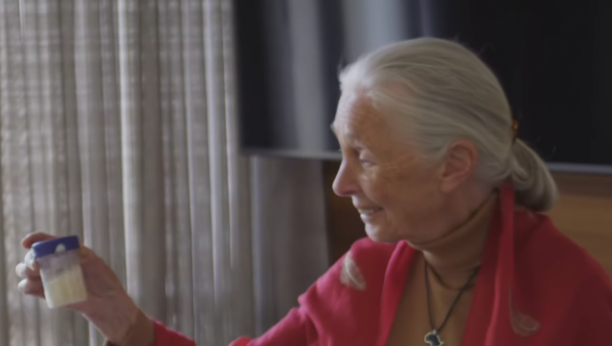 Printscreen/Youtube/National Geographic