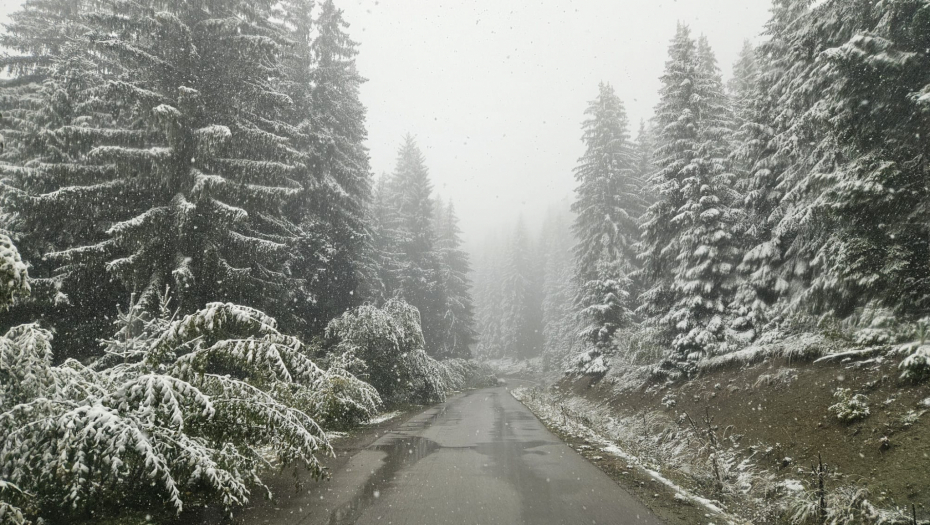 FOTO TANJUG/ BRANKO LUKIĆ/ bs