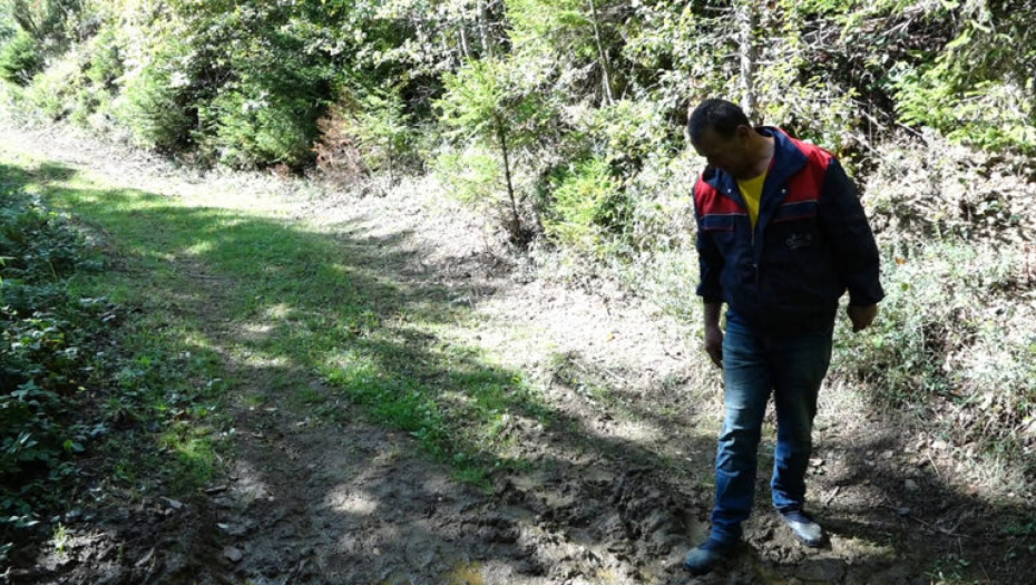 Napadi divljih životinja na ovce