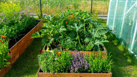 Metoda da se određene biljke sade jedna pored druge odlično funkcioniše u praksi - baštovani su otkrili koje biljke najbolje uspevaju kada se tako posade.