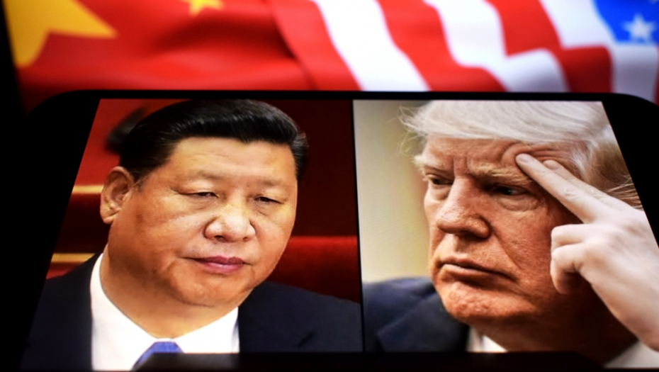 Foto: miss.cabul / Shutterstock.com