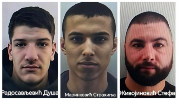 Hapšenje Višnjička Banja