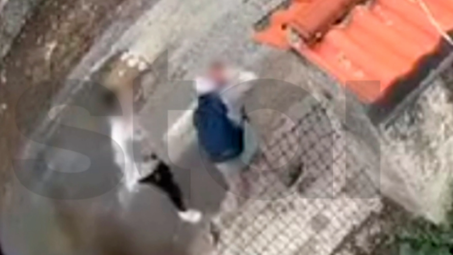 Foto: Printscreen/protothema