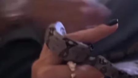 Mnogima nije dobro od ovih kadrova