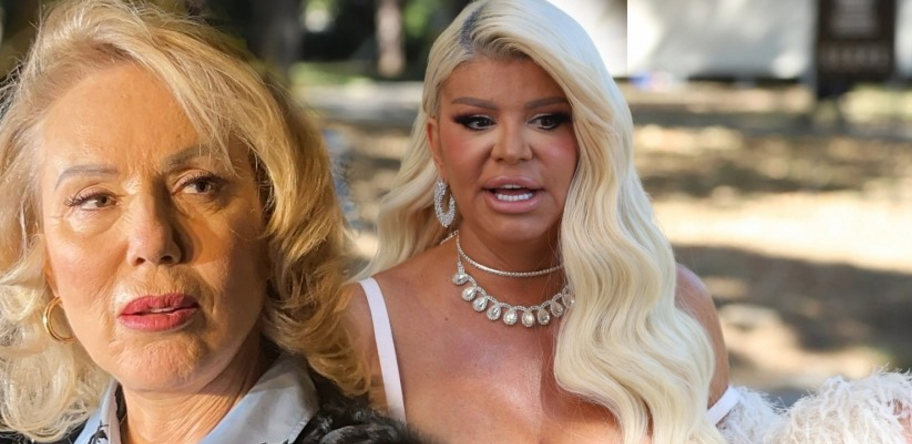 Dara Bubamara i Lepa Brena