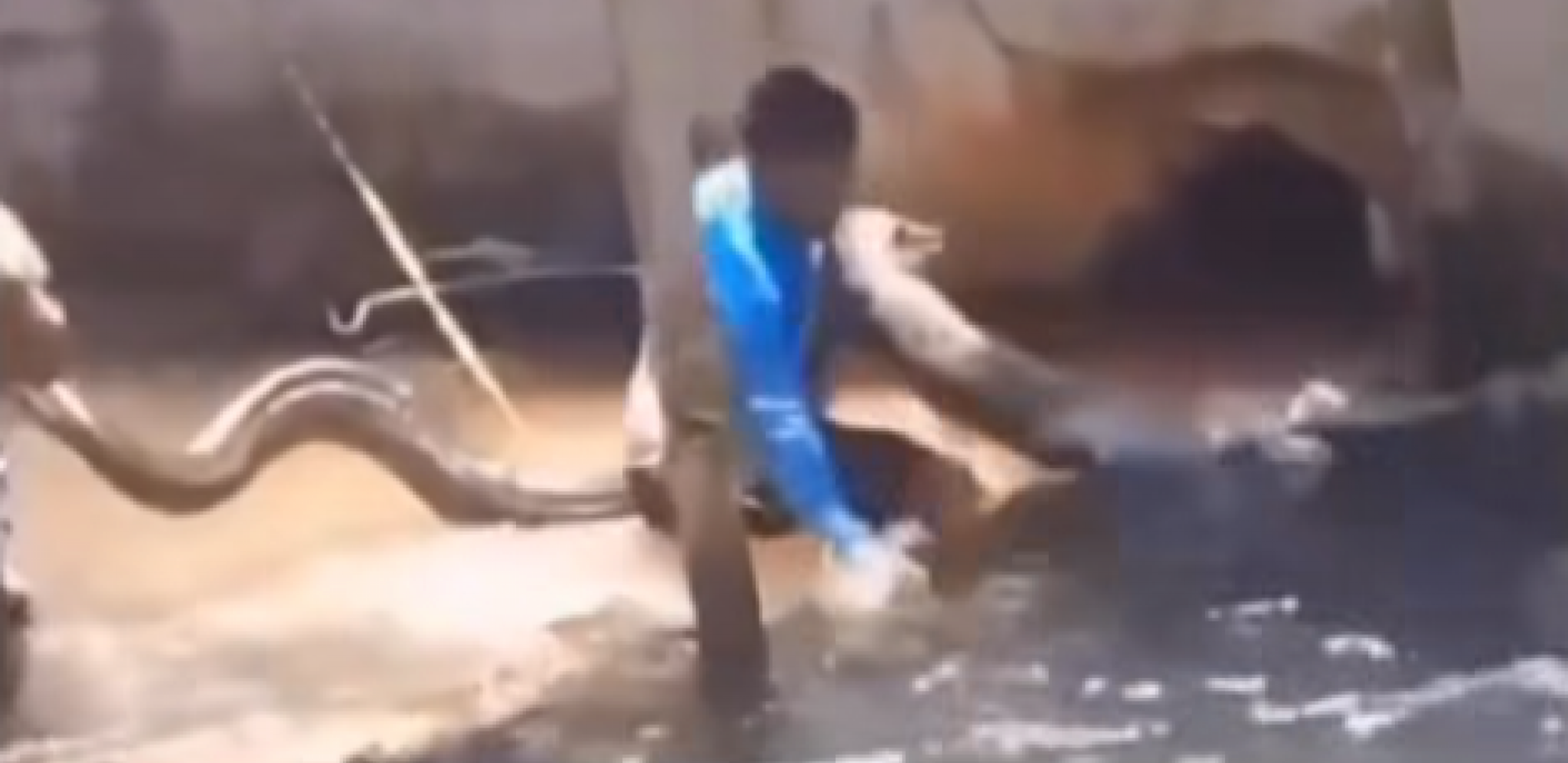 Printscreen/Instagram/diariodomunicipio