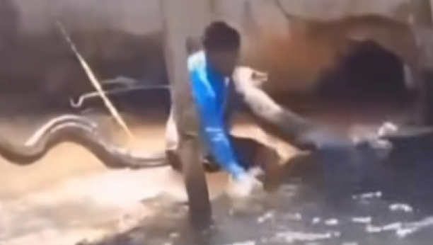 Printscreen/Instagram/diariodomunicipio