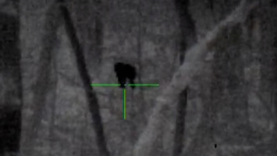 nepoznata životinja