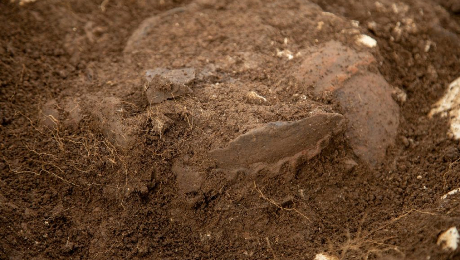 Ostaci pokojnika iz praistorijskog doba