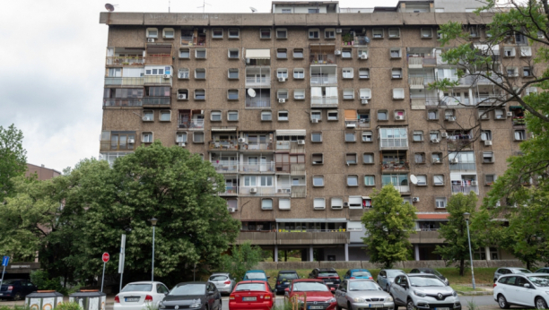 Profesionalni upravnik