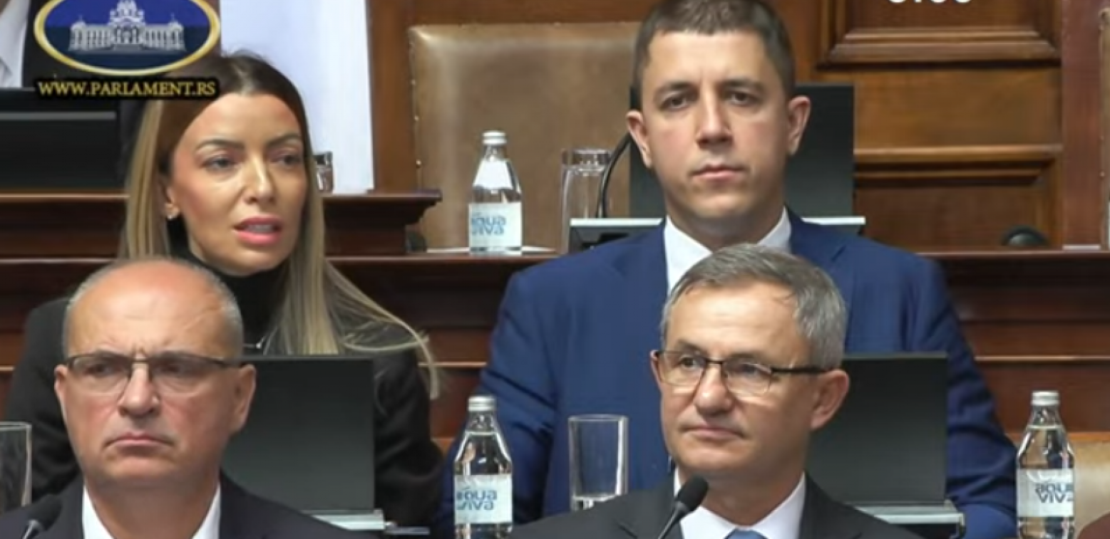 Printscreen/Youtube/ParlamentSrbija
