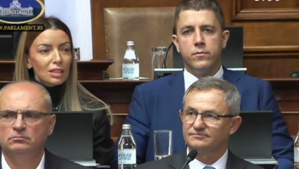 Printscreen/Youtube/ParlamentSrbija