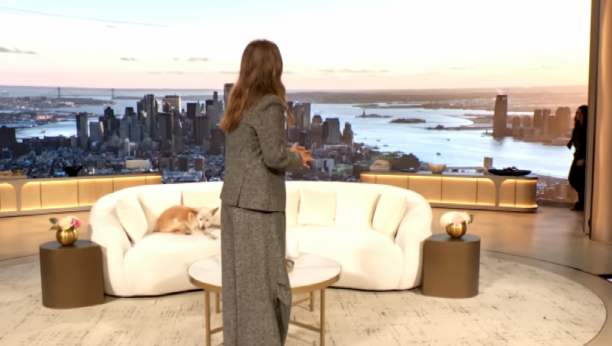 Printscreen/Youtube/The Drew Barrymore Show