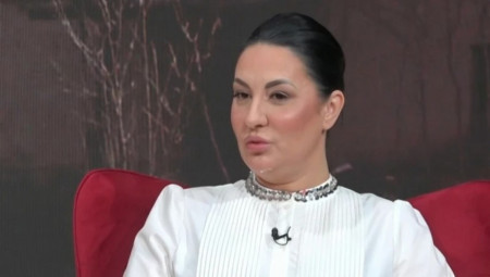 Njegova naslednica Marija Pavković govorila je za medije kada su Nebojšu Pavlovića pustili iz Haga.