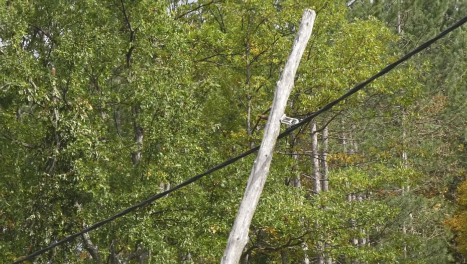 Eldina je jedina učenica u seoskoj školi