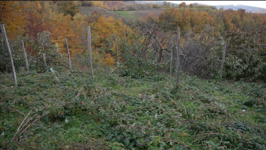 Ministar Glamočić obišao opštinu Ivanjica