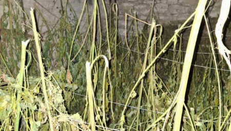 Osumnjičenom јe određeno zadržavanje do 48 sati nakon čega će, uz krivičnu priјavu, biti priveden nadležnom tužilaštvu.