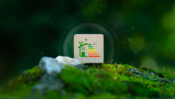 Energetska efikasnost