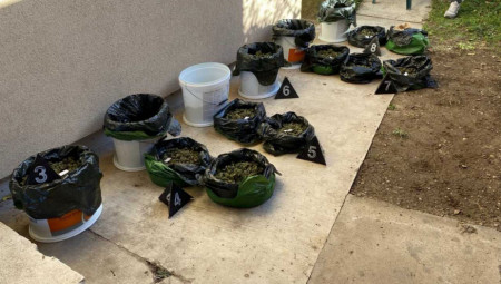 Pripadnici Ministarstva unutrašnjih poslova  u Smederevu, u saradnji sa Višim javnim tužilaštvom u Smederevu, uhapsili su B. N. (56) iz Velike Plane, zbog  sumnje da je izvršio krivično delo neovlašćena proizvodnja i stavlјanje u promet opojnih droga.