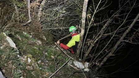 Spasioci Gorske službe spasavanja iz stanice Bor sinoć su sproveli uspešnu akciju potrage na području Nacionalnog parka Južni Kučaj, na lokaciji Beljanica gde su spasili dve izgubljene osobe.