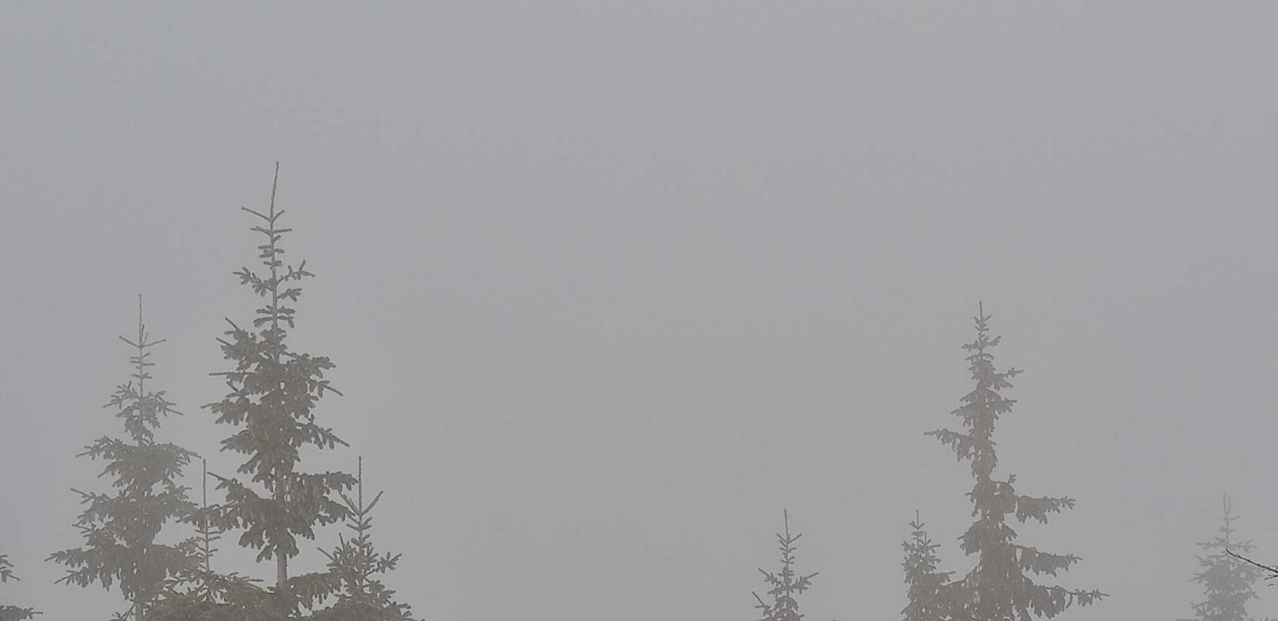 Printscreen/Infokop.net