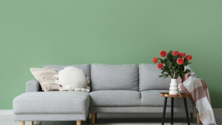 Sobne biljke sa zaobljenim listovima su simbol rasta i bogatstva