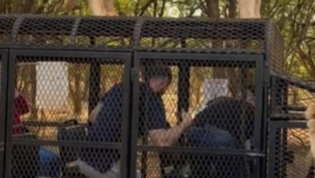 Tiktokerka Betulve objavila je sredinom oktobra snimak sa safarija u Senegalu, koji je izazvao burne reakcije korisnika društvenih mreža.