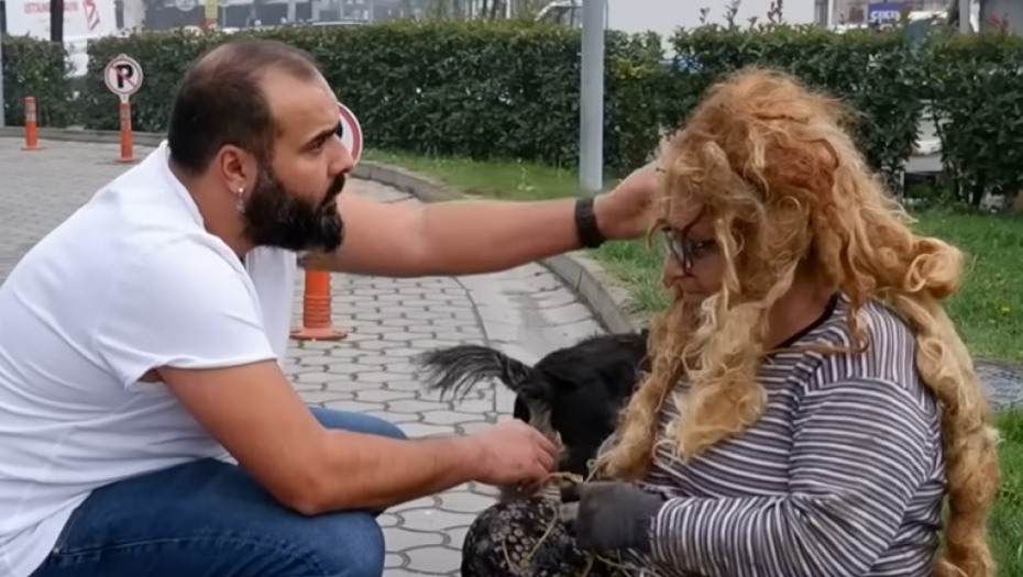 transformacija beskućnice