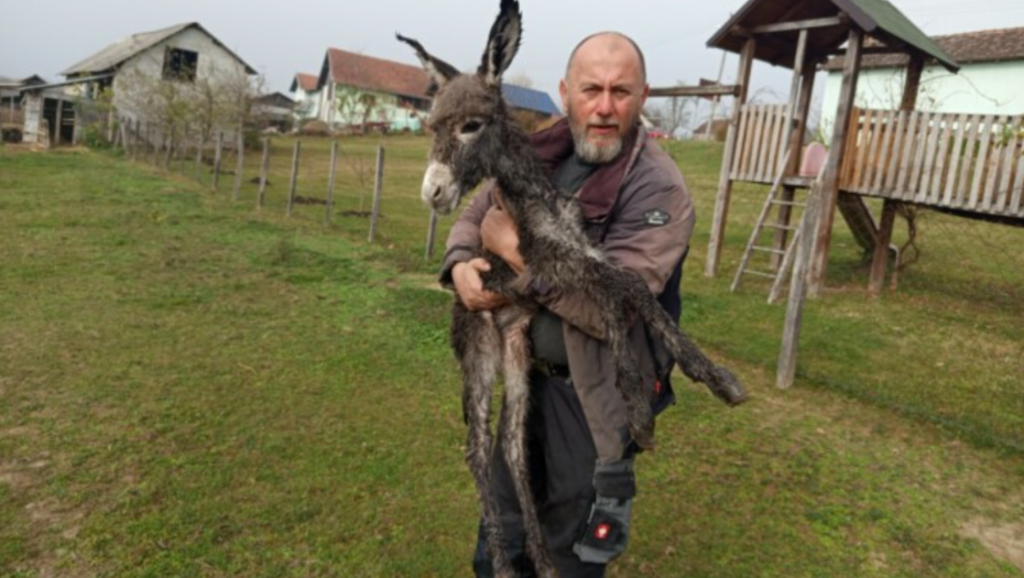 Foto: Aloonline.ba/Boško Grgić