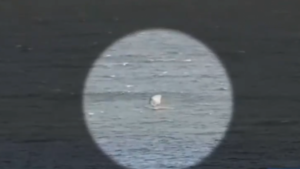 Foto: Printscreen/X/News.Az