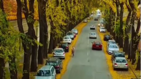 IZGLEDA KAO IZ BAJKE Najlepša ulica na svetu nalazi se u Srbiji (VIDEO)
