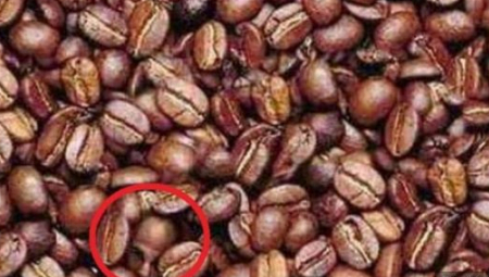 Slika pokazuje mnoštvo zrna kafe, ali vas pored toga izaziva da uočite lice