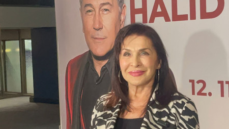 Na samom početku otkrila je da ima želju da snimi još jednu pesmu, jer je kako je istakla misli da nema potrebe više da snima, i da je došlo vreme da nastupa sa starim pesmama.