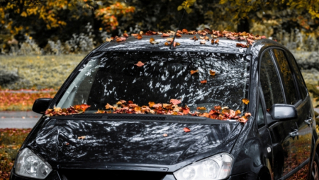 Tokom jeseni jedna uobičajena pojava postaje ozbiljna opasnost za sve vozače: mokro lišće na putu