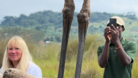 Grupa turista doživela je nezaboravno iznenađenje kada se na njihovom čamcu pojavilo ogromno stvorenje u jednom od najpoznatijih rezervata za posmatranje ptica u Ugandi – Mabamba Bej