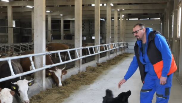 Foto: Youtube printsrceen/ Srećko Stipović