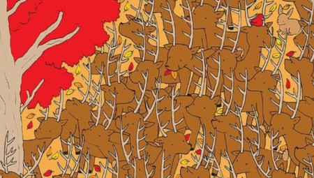 Kako je stigla jesen, nova optčka iluzija podiže prašinu na društvenim mrežama