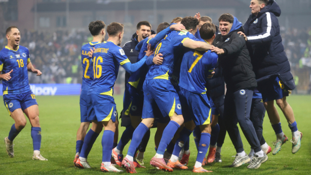 Fudbalska reprezentacija Bosne i Hercegovine