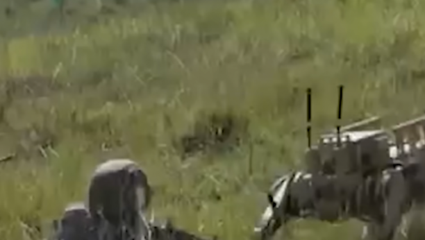 robotski vukovi kina