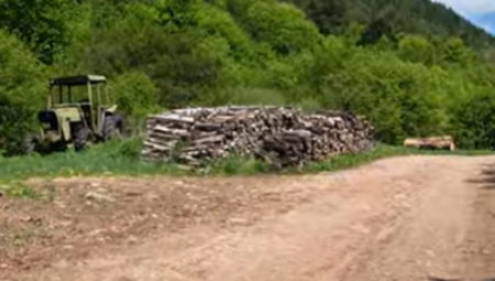 U ataru sela Kolare kod Jagodine došlo je do teške nesreće kada je tokom seče drva poginuo meštanin star 57 godina.