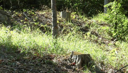 Povređeni je bio svestan, ali je zbog težine povreda prevezen u bolnicu.