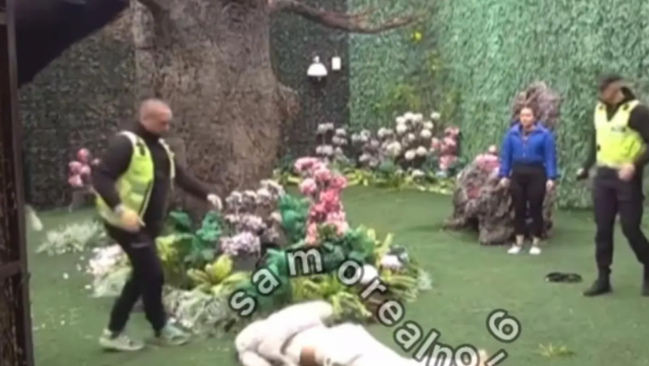 PrintScreen YouTube/Zadruga Official