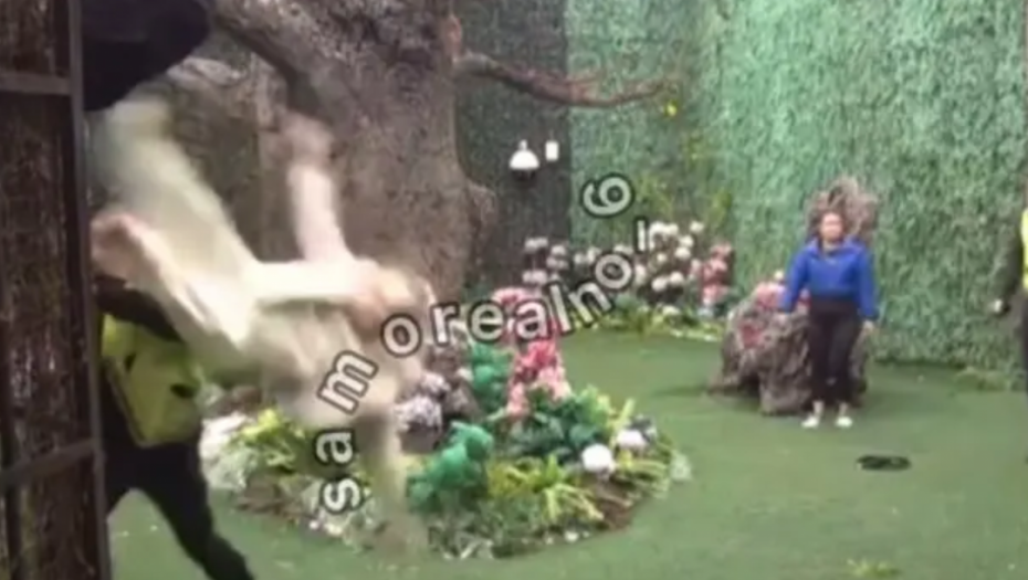 PrintScreen YouTube/Zadruga Official