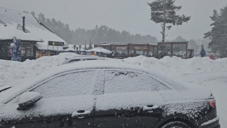 OVDE JE PALO 20 CM SNEGA Zima pokazala zube u ovom delu Srbije, beli pokrivač lomio grane sa drveća (FOTO)