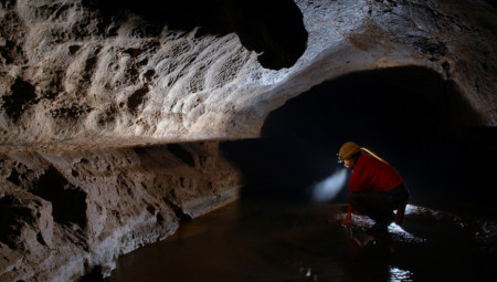 U pećini na Balkanu naučnici su otkrili največu paukovu mrežu na svetu.