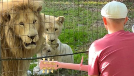 Francuski muzičar Loris Asadian, na internetu poznat kao Plim (Plumes) ili „pevač koji serenadama osvaja životinje“, ponovo je postao viralan nakon snimka koji je obišao ceo internet